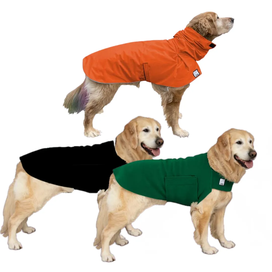 Golden Retriever Fall Essentials Bundle